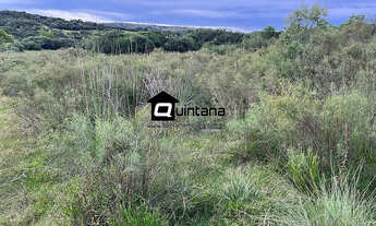 Imagem 5: Sítio de 20 hectares em Piratini