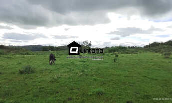 Imagem: Vendo 64 hectares em Canguçu no 1 distrito