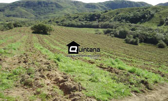 Imagem: Fazenda de 99 hectares em Canguçu