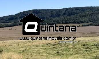 Imagem 5: Arrendamento 550 hectares em Encruzilhada do Sul RS