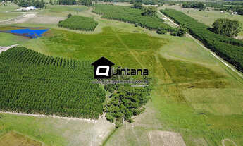 Imagem 5: Venda de 50 hectares em Rio grande RS no Povo Novo