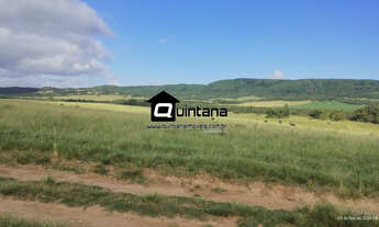 Imagem 3: Arrendamento 550 hectares em Encruzilhada do Sul RS