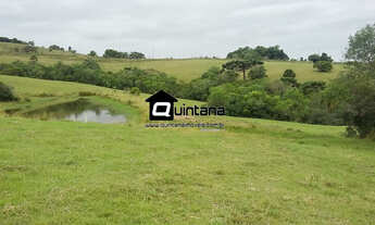 Imagem: Fazenda 800 hectares em Santana da Boa Vista