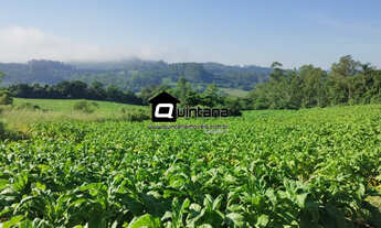 Imagem: Sítio de 44 hectares no Arroio do Padre