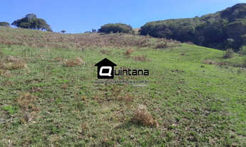 Imagem: Sítio de 30 hectares em Santana da Boa