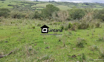 Imagem 2: Vendo 45 hectares em Piratini 5° distrito