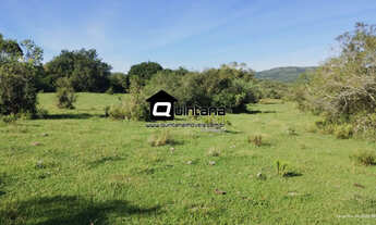 Imagem: FAZENDA DE 300 HECTARES EM HERVAL