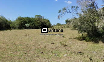 Imagem: Fazenda em Pinheiro Machado 210 hectares