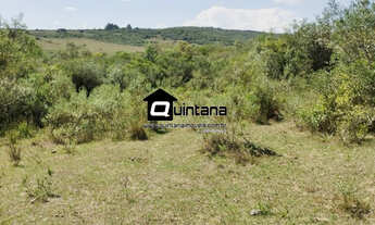 Imagem: Fazenda 77 hectares em Pinheiro Machado