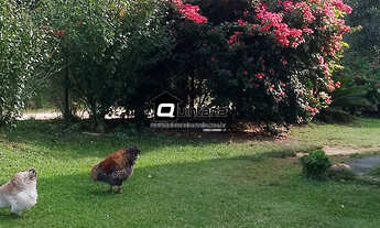 Imagem 7: Chácara na trapeira em canguçu