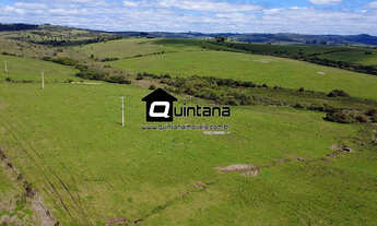 Imagem 3: VENDO 80 HECTARES EM SANTANA DA BOA VISTA