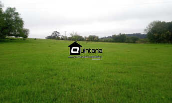 Imagem: Vendo 50 hectares nas margens da BR 392