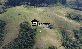 Imagem 2: Vendo Fazenda em Santana da Boa Vista, 105 hectares