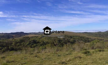 Imagem: Vendo dítio de 41hectares em Santana da