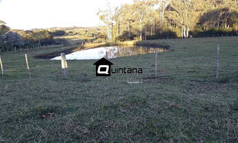 Imagem 2: Vendo chácara na Capela da Buena de 2 hectares