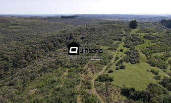 Imagem 6: Vendo 210 hectares em Caçapava do Sul