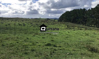 Imagem: FAZENDA 1500 HECTARES EM PINHEIRO MACHADO