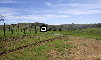Imagem 6: Fazenda de 520 hectares R$ 16.000/ha