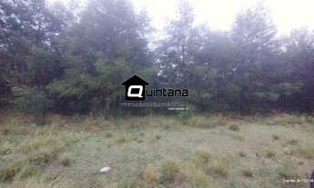 Imagem 6: FAZENDA COM REFLORESTAMENTO