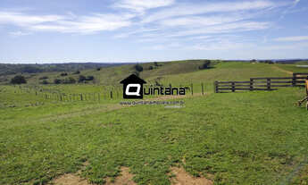 Imagem: Fazenda de 520 hectares R$ 16.000/ha