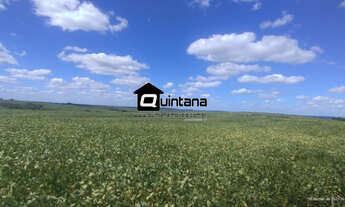 Imagem: Vendo fazenda 288 hectares em Herval