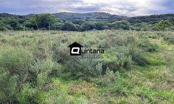 Imagem 3: Sítio de 20 hectares em Piratini