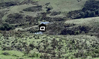 Imagem 5: Vendo Sítio de 36 hectares em Pedras Altas