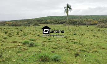 Imagem: Vendo 60 hectares em Canguçu