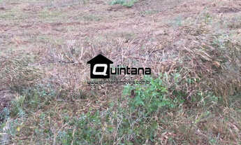 Imagem: Vendo 414 hectares em Pinheiro Machado