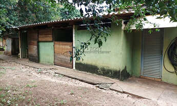 Imagem 7: Chacará - venda em Luis Antônio - SP