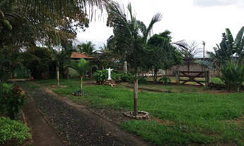 Imagem 6: Chacará - venda em Luis Antônio - SP