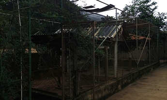 Imagem 5: Chacará - venda em Luis Antônio - SP