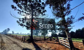 Imagem 5: CHÁCARAS À VENDA, LOCALIZADA NO RIO PARDO EUCATEX!