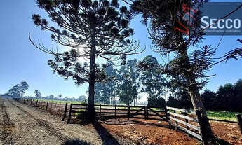 Imagem 5: CHÁCARAS À VENDA, LOCALIZADA NO RIO PARDO EUCATEX!