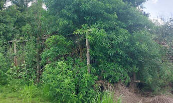 Imagem 3: Chácara a Venda no bairro Rodovia Eduardo Zuccari - Botucatu, SP