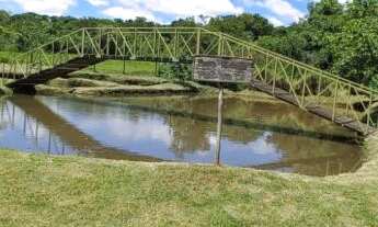 Imagem: Sítio a Venda no bairro Rodovia Alcides