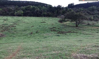 Imagem 2: CHÁCARA À VENDA, LOCALIZADA NO RIO PARDO PRÓXIMO A EUCATEX!