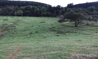Imagem 2: CHÁCARA À VENDA, LOCALIZADA NO RIO PARDO PRÓXIMO A EUCATEX!