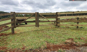 Imagem 3: CHÁCARA À VENDA, LOCALIZADA NO RIO PARDO PRÓXIMO A EUCATEX!