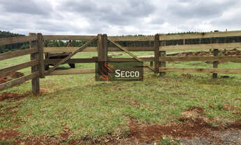 Imagem 3: CHÁCARA À VENDA, LOCALIZADA NO RIO PARDO PRÓXIMO A EUCATEX!