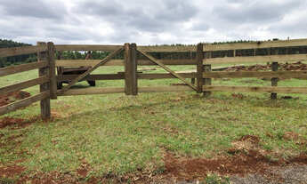 Imagem 3: CHÁCARA À VENDA, LOCALIZADA NO RIO PARDO PRÓXIMO A EUCATEX!
