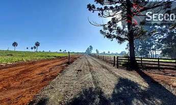 Imagem 7: CHÁCARAS À VENDA, LOCALIZADA NO RIO PARDO EUCATEX!