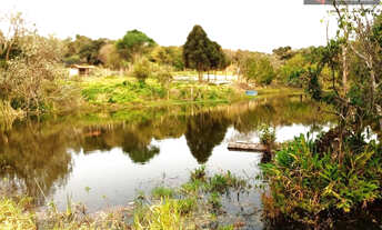 Imagem: Sítio a Venda no bairro Centro - PratÂnia