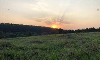 Imagem 1: CHÁCARA À VENDA, LOCALIZADA NO RIO PARDO PRÓXIMO A EUCATEX!