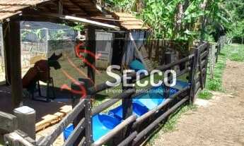 Imagem 4: Sítio a Venda no bairro Rodovia Alcides Soares - Botucatu, SP