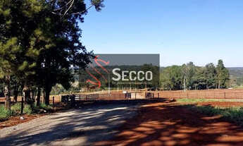 Imagem 4: CHÁCARAS À VENDA, LOCALIZADA NO RIO PARDO EUCATEX!