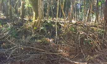 Imagem 3: ATIBAIA - Terreno em condomínio - Aceita carro. Ref. 3331