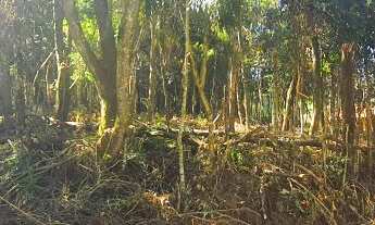 Imagem 2: ATIBAIA - Terreno em condomínio - Aceita carro. Ref. 3331