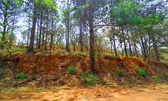 Imagem 5: TERRENO EM ATIBAIA - Estância San Remo Aceita carro