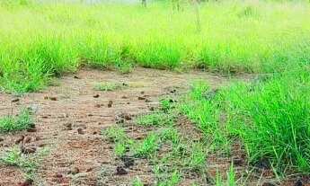 Imagem: Terreno - 337m² Excelente topografia e